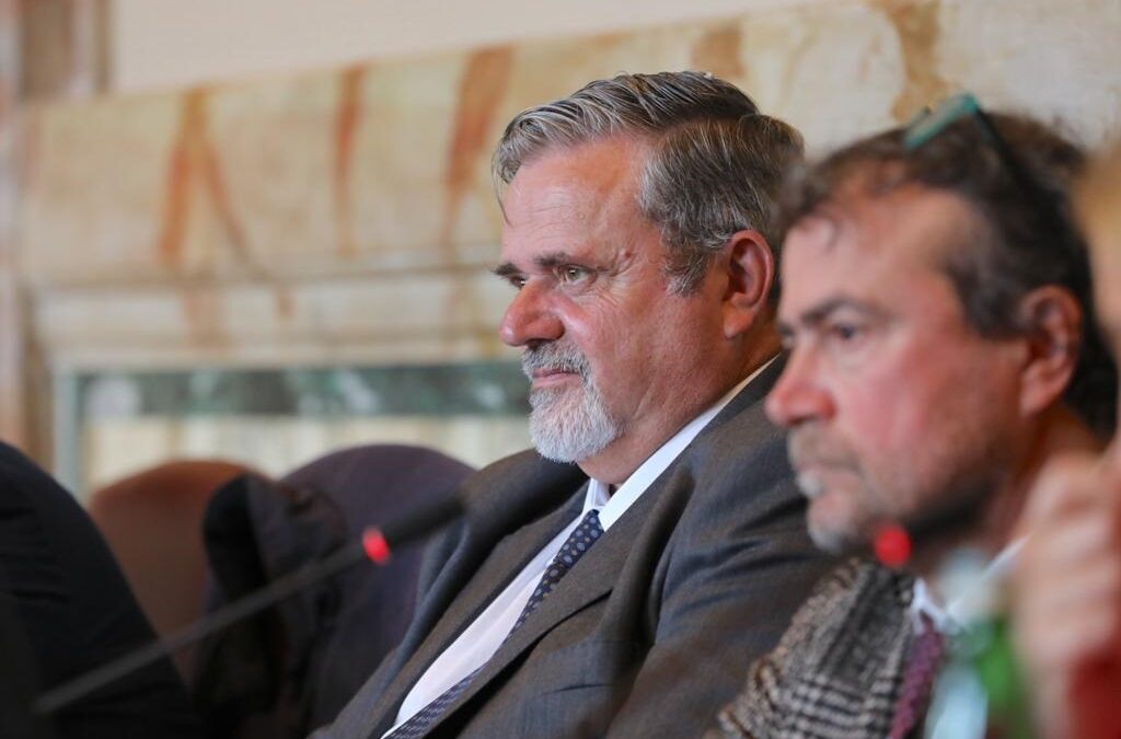 Ue, Capone: “Necessaria golden rule per favorire investimenti strategici”