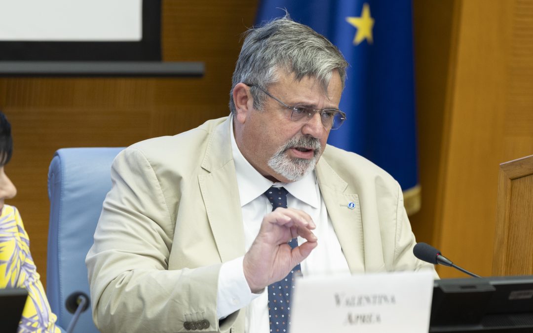 Pensioni, Capone: “Introdurre meccanismi di flessibilità in uscita”