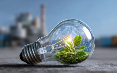 News from Europe n. 146