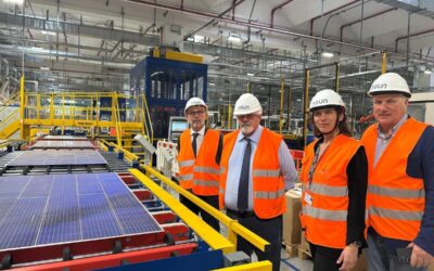 Referendum, Capone: «Il Sì è una scelta di responsabilità»