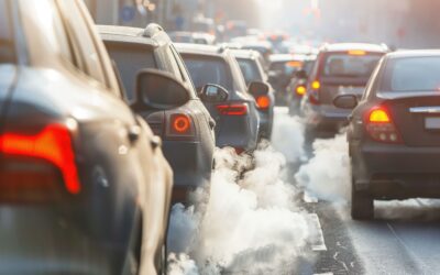 News from Europe n. 170