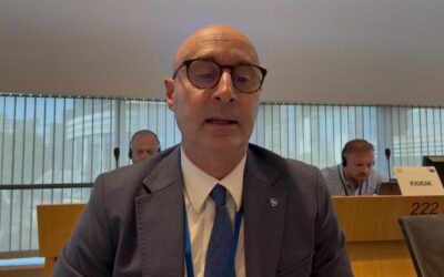 News from Europe n. 176
